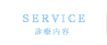 診療内容